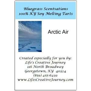    Handmade 100% KY Soy Melting Tarts  Arctic Air 