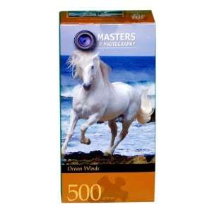  Master Pieces Masters of Photography Ocean Winds Jigsaw 
