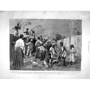  1901 Malays Catching Locusts Africa Port Elizabeth