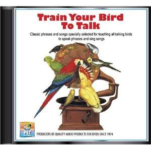  Train Your Bird To Talk