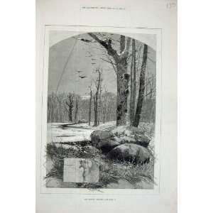  1880 January Scene Snow Ice Trees Birds Antique Print 