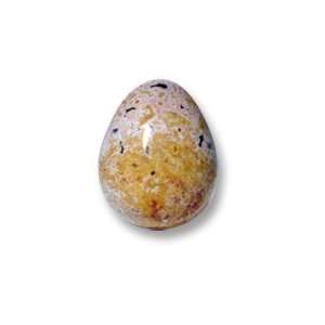  Picture Jasper Eggs from Madagascar 