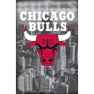  CHICAGO BULLS POSTER 22 X 34 TEAM LOGO TICKETS 3636