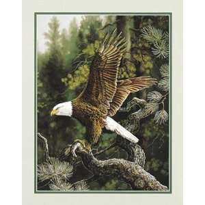  Eagle On Perch    Print