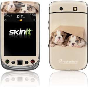   Bulldog Puppies skin for BlackBerry Torch 9800 Electronics