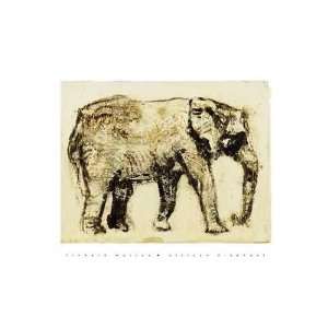  African Elephant    Print