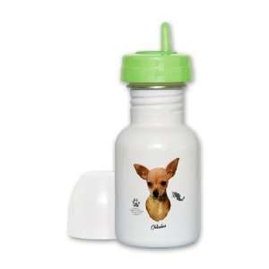  Sippy Cup Lime Lid Chihuahua from Toy Group and Mexico 