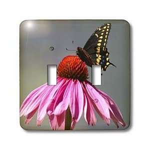   Landing   Light Switch Covers   double toggle switch