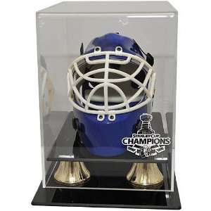 Caseworks Chicago Blackhawks 2010 Stanley Cup Champions Mini Helmet 