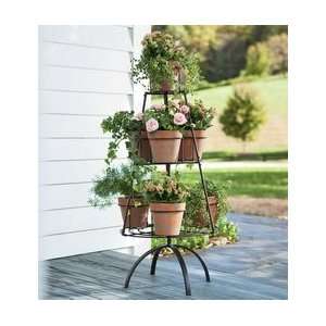  Metal Tree Shaped Plant Stand With Terra Cotta Pots Patio 