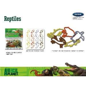    Animal Planet Reptile Logo Bandz Bracelets