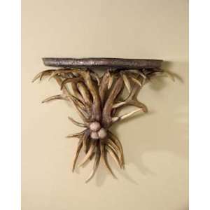  Antler Wall Sconce