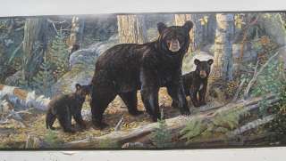 BLACK BEAR with CUBS BEARS in the WOODS Wallpaper Border 6  