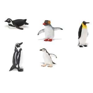   Penguins   South African, Rockhopper, Emperor, Humboldt, Chinstrap