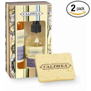 Caldrea Kitchen Starter Set, Lavender Pine, 8 Ounce Bottles (Pack of 2 