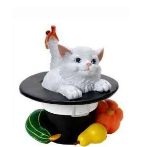  Cat in a Hat Toys & Games