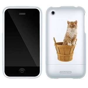   Selkirk Rex on AT&T iPhone 3G/3GS Case by Coveroo Electronics
