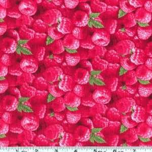 45 Wide Berry Good Raspberries Red Fabric By The Yard 