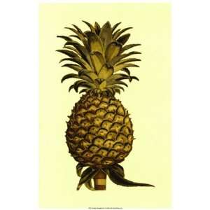  Sepia Pineapple (H) I by Vision studio 9x16 Kitchen 