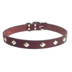   1 Diamond Stud Leather Collar in Mahogany Pet 