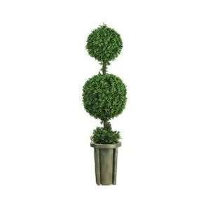  5 Double Ball Leucodendron Topiary with Decorative Vase 
