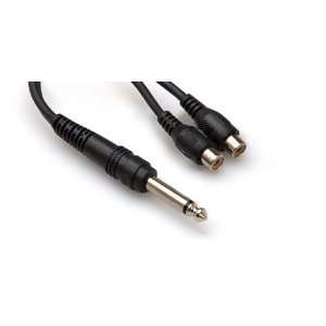   YPR103 Mono 1/4 Inch Male to Dual RCA F Y Cable Musical Instruments