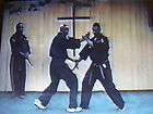 Steve Sanders Kenpo Karate DVD