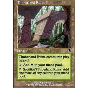   Magic the Gathering   Timberland Ruins   Odyssey   Foil Toys & Games