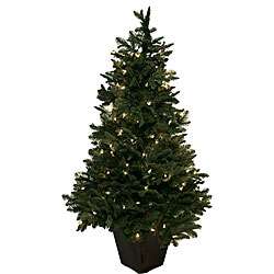 Noble Fir 4 foot Pre lit Christmas Tree  