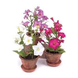   Assorted Colored Potted Silk Morning Glory Flowers 13