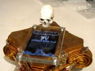 Look at video above for a close up of the Terminator Skull