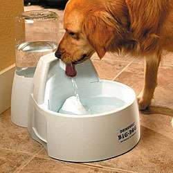 The Big Dog Drinking Fountain  