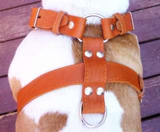 High Quality Leather Walking Dog Harness 26 30 size 1.5 Rottweiler 