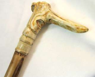 walking stick cane europe political anther horn handle stag big nose 