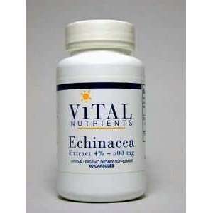     Echinacea Extract SE   60 caps / 500 mg