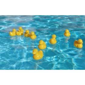  eWonderWorld Baby Bath Toys Plastic Ducky   12 Pieces 