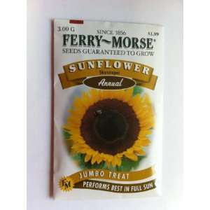  Ferry Morse 1599 Sunflower Annual Flower Seeds 