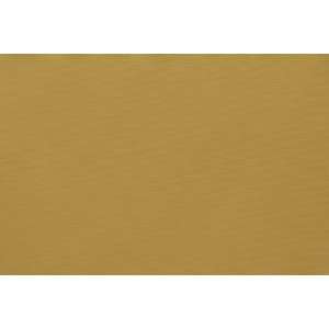  2106 Canvas in Golden by Pindler Fabric