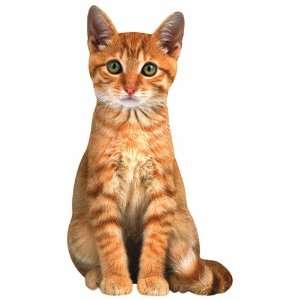  Sammy Orange Kitten Blank Die Cut Photographic Card 