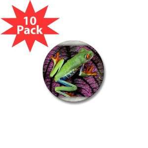   Button (10 Pack) Red Eyed Tree Frog on Purple Leaf 