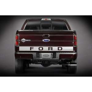  F 150 04 11 Ford SES Trims TGM108SS Automotive