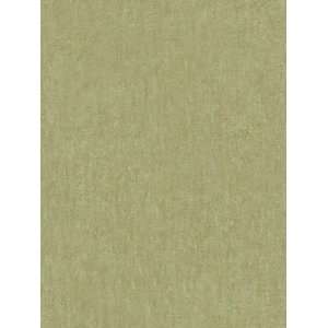  Wallpaper Steves Color Collection   Green BC1581776