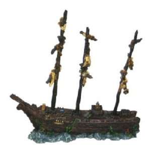  Sunken Spanish Ship  Small (7 )