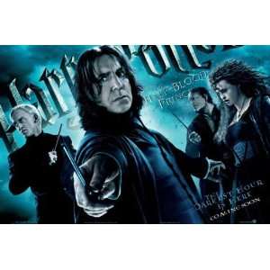  Harry Potter and the Half Blood Prince   Movie Poster   27 