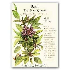  Thai Siam Queen Basil Seeds   200 mg   Heirloom Patio 