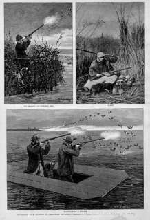 DUCK HUNTING, ANTIQUE DECOYS, CHESAPEAKE BAY SHOOTING  