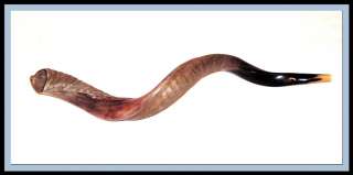 Please remember   Etch shofar is hand made from natural material so 