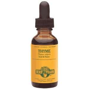  Thyme Herbal Extract Beauty