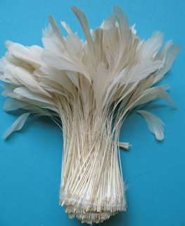 30 PCS. SOFT IVORY STRIPPED COQUE ROOSTER FEATHERS  