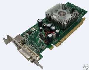 IBM Nvidia GeForce 7300LE 128Mb PCI e Video Card   LP  